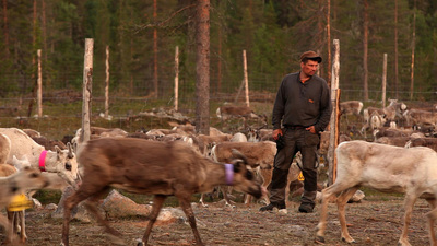 Aatsinki: The Story of Arctic Cowboys