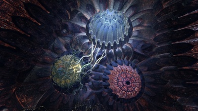 Ayahuasca