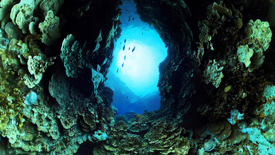 Coral Compass: Fighting Climate Change in Palau