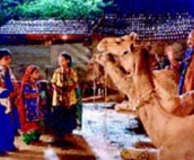 Blind Camel