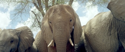 Keepers of the Wild