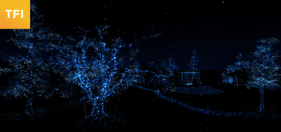 Notes On Blindness: Into Darkness