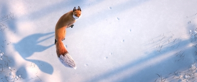 The Short Story of a Fox and a Mouse