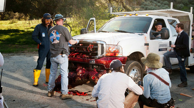 Zombeavers